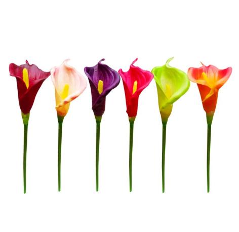 60cm Calla Lily Stem