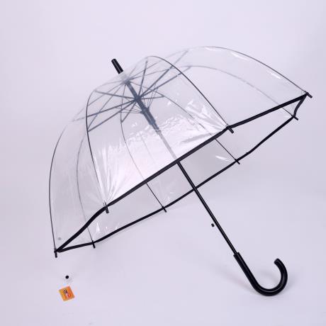 Large Umbrella