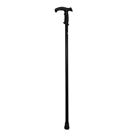 Metal Walking Stick