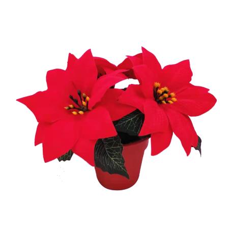 Poinsettia Pot 15cm