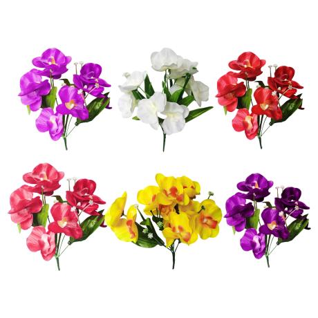 10 Heads Orchid