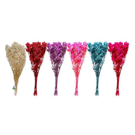 Dry Flower Baby's Breath 68cm
