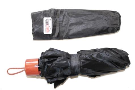 Mini Umbrella