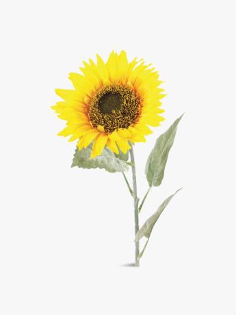 Flowe Long