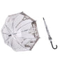Transparent Umbrella
