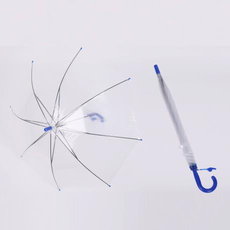 Transparent Umbrella