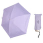 Mini Umbrella