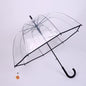 Large Umbrella