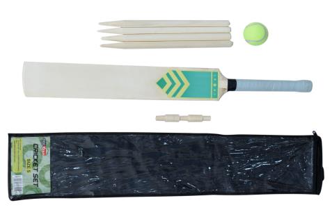 Cricket set