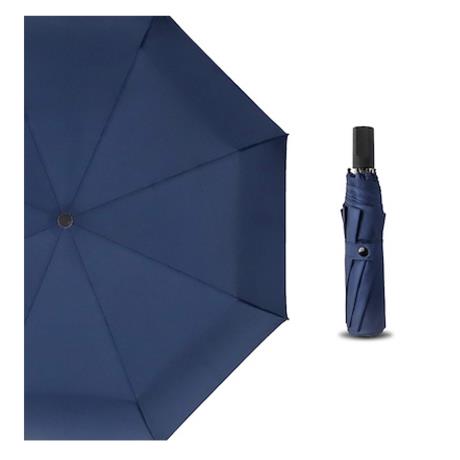 Mini Umbrella