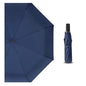 Mini Umbrella