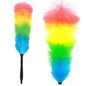 Magic Duster