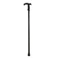 Metal Walking Stick